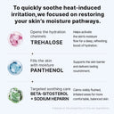 Azulene Anti Blemish Toner
