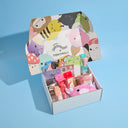 The Ultimate Squishmallows Set