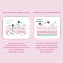 Collagen + Ceramide Mochi Eye Patches